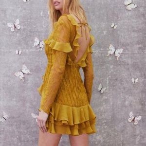 Daphne Lace Midi Dress in Chartreuse
For Love & Lemons
Color:Chartreuse